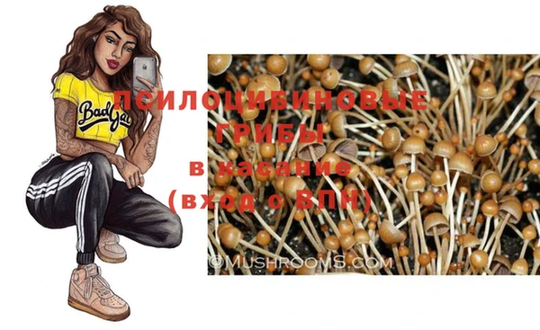 PSILOCYBIN Пролетарск